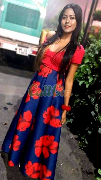 Minakshi, call girl in Guindy (Chennai)